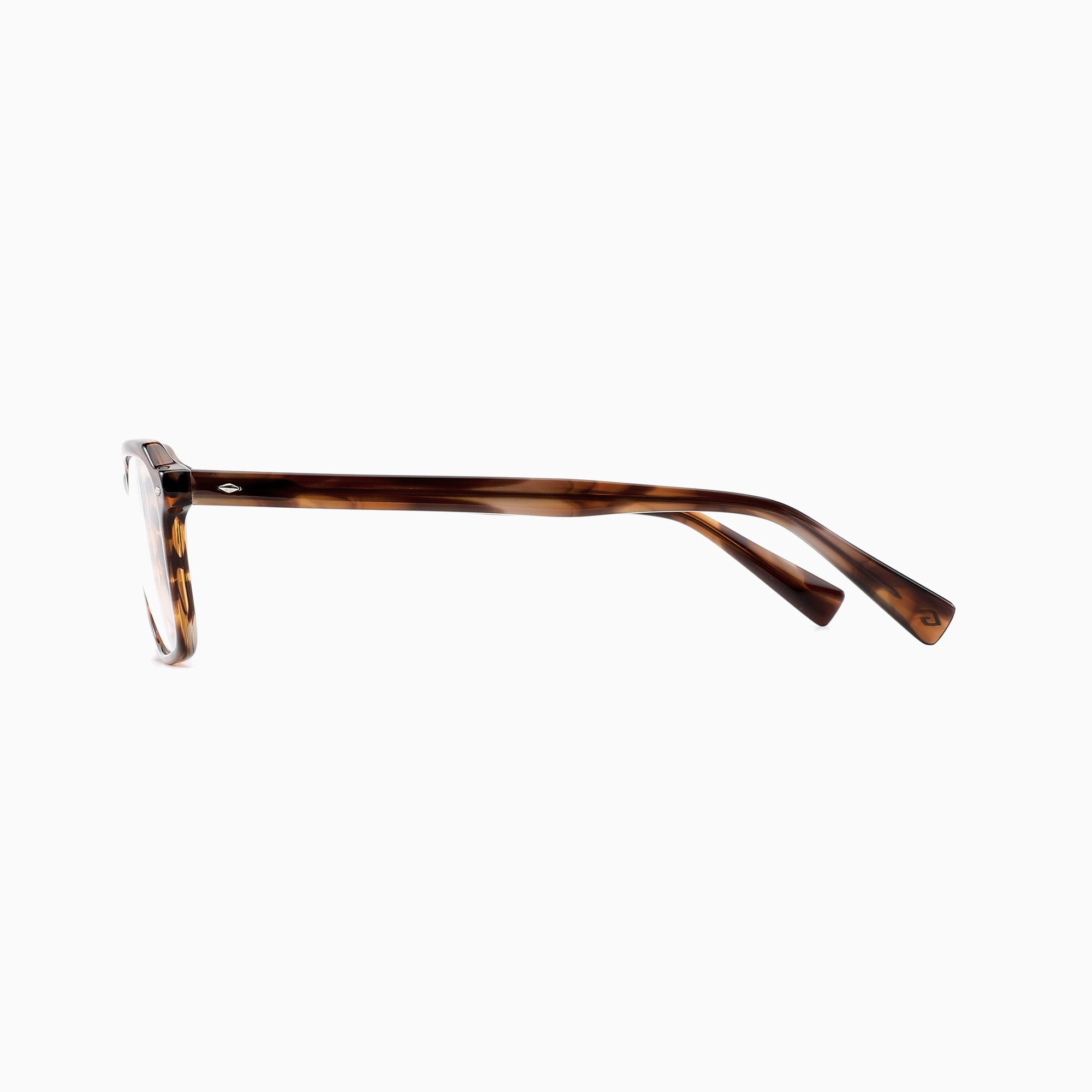 #color_Brown Tortoise