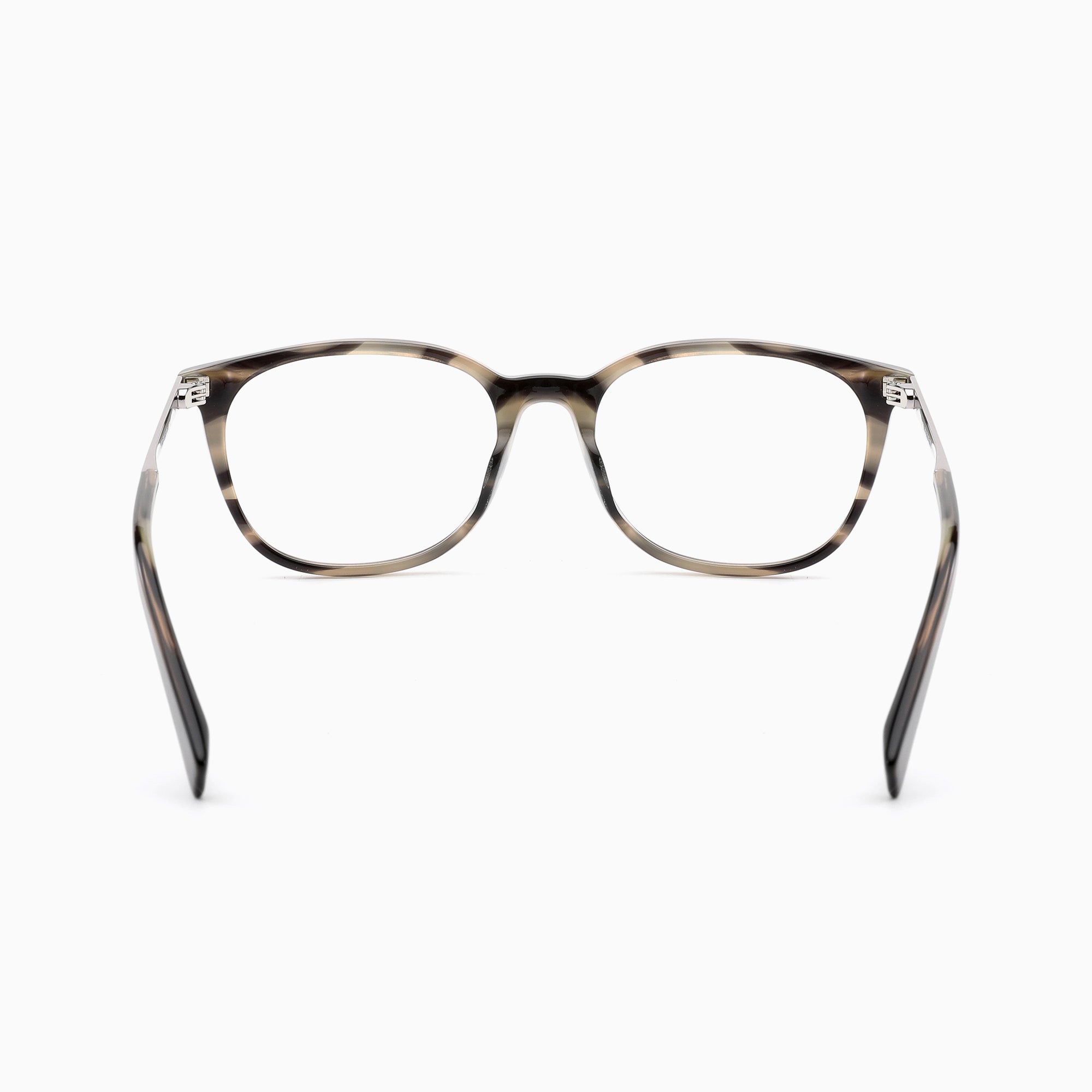 #color_Grey Tortoise