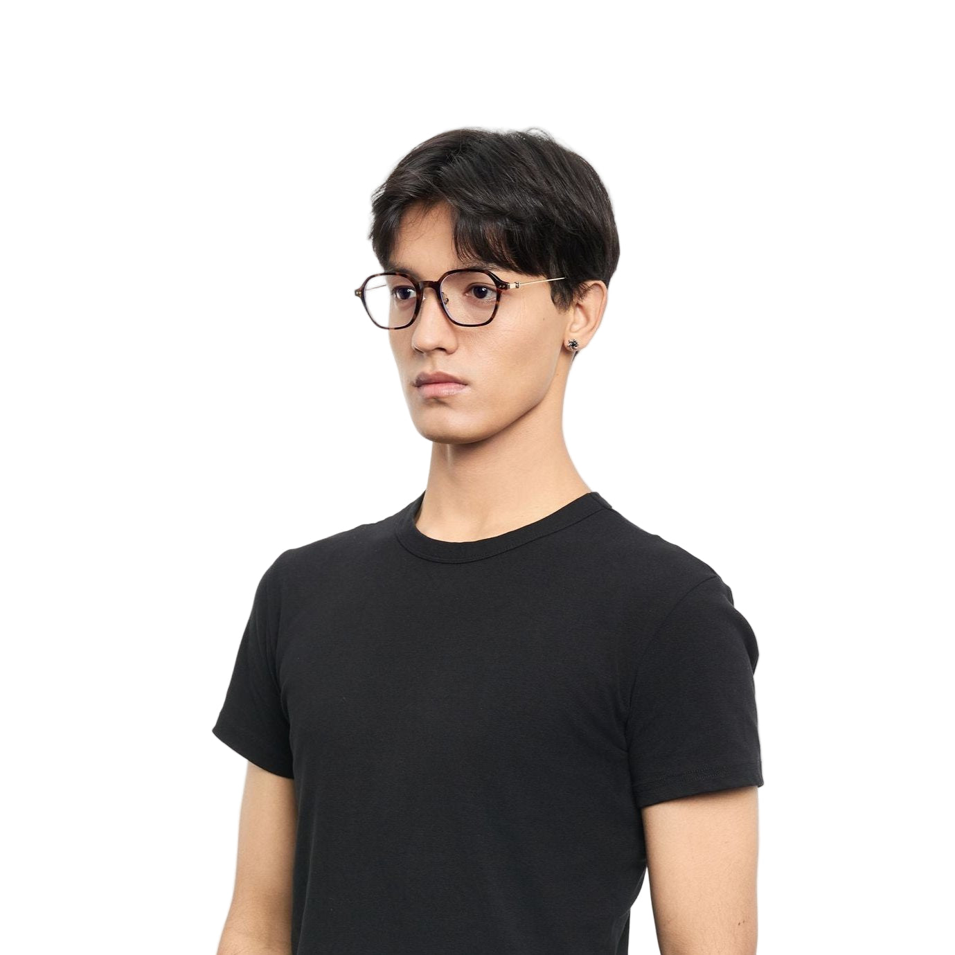 #color_Tortoise with Gold