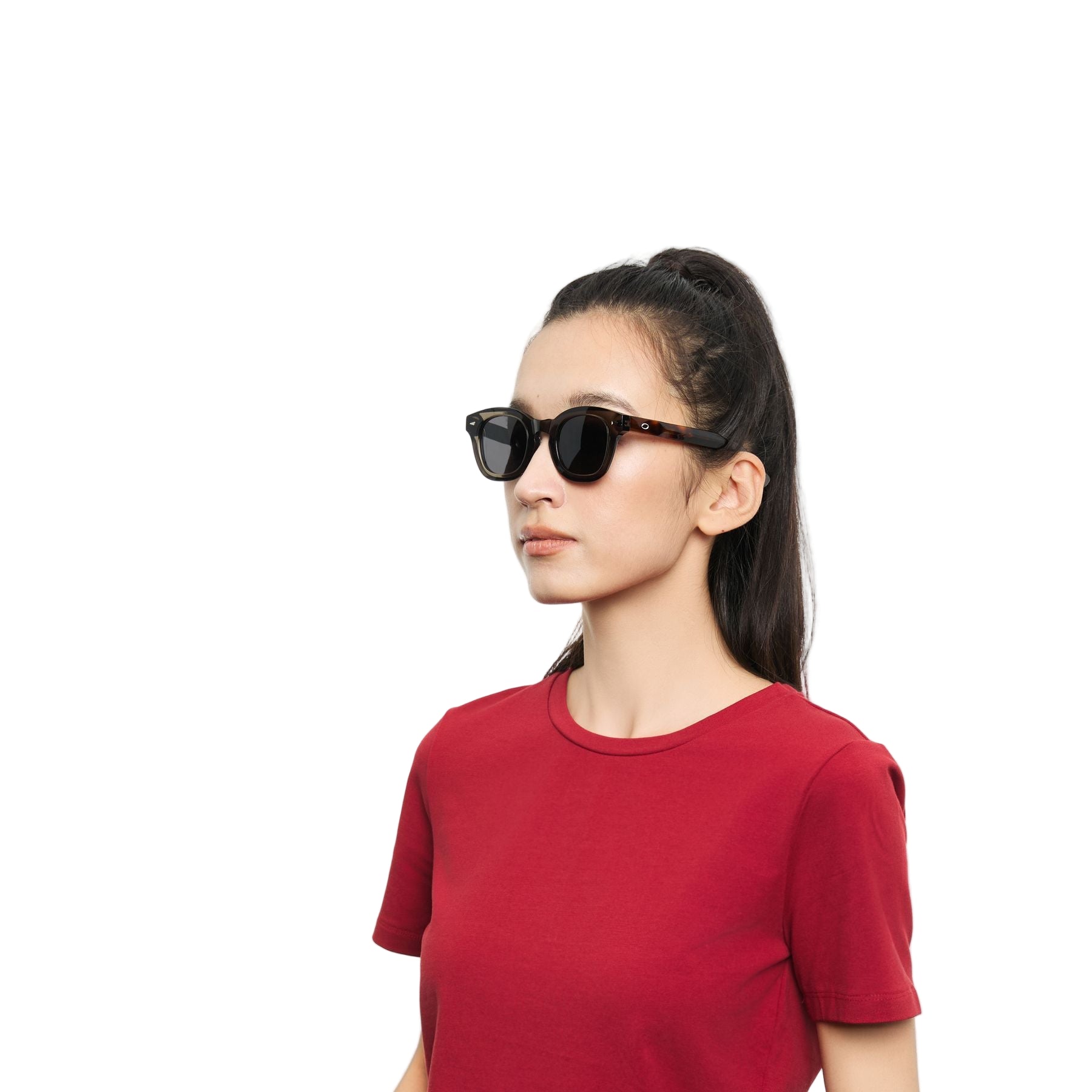 #color_Clear Grey with Tortoise