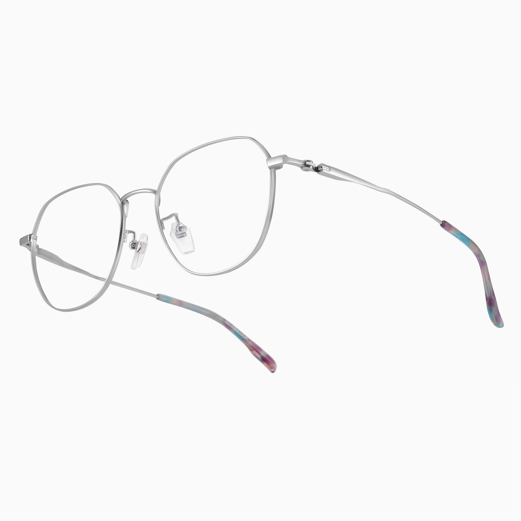 #color_Silver with Eastern Bluebird Tortoise