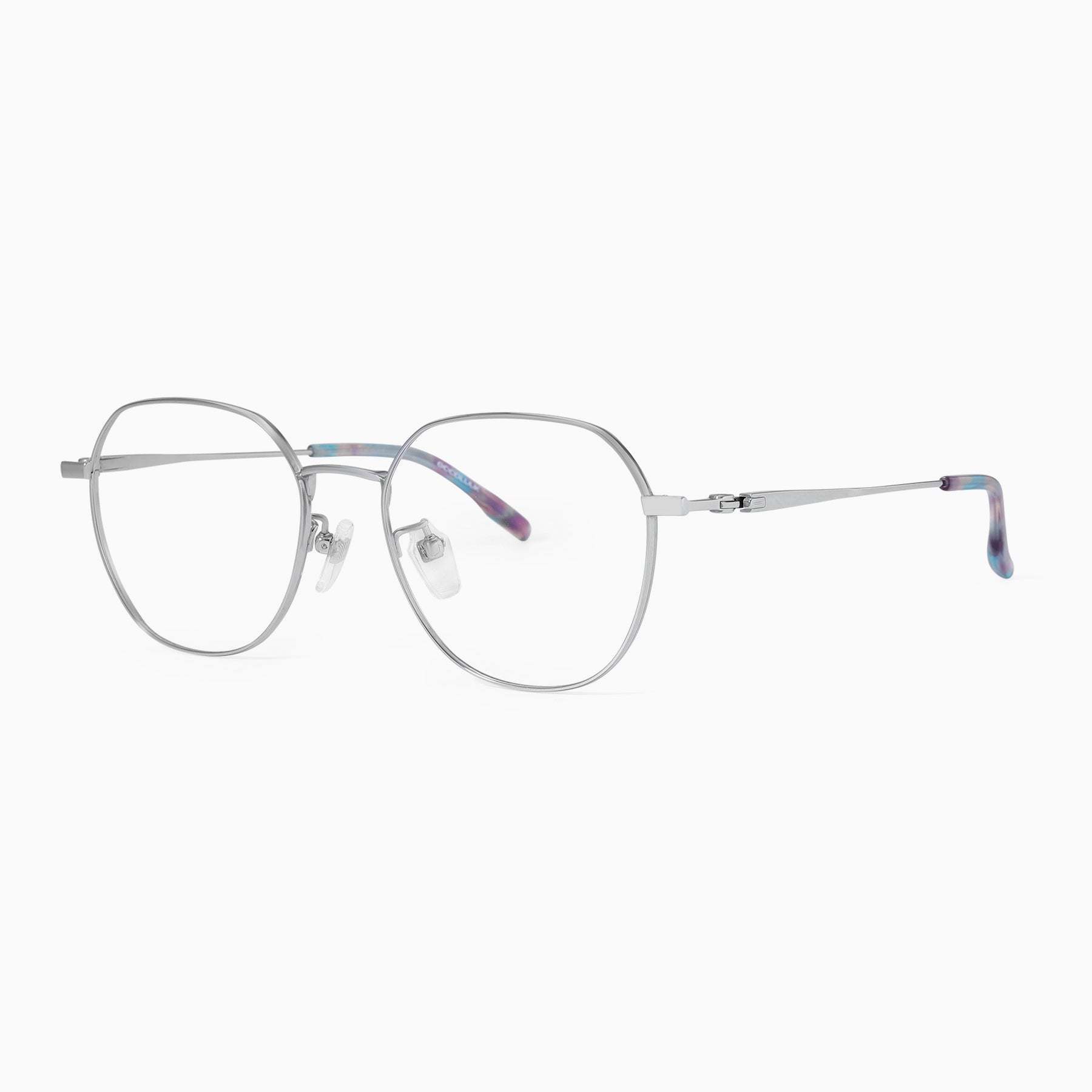 #color_Silver with Eastern Bluebird Tortoise