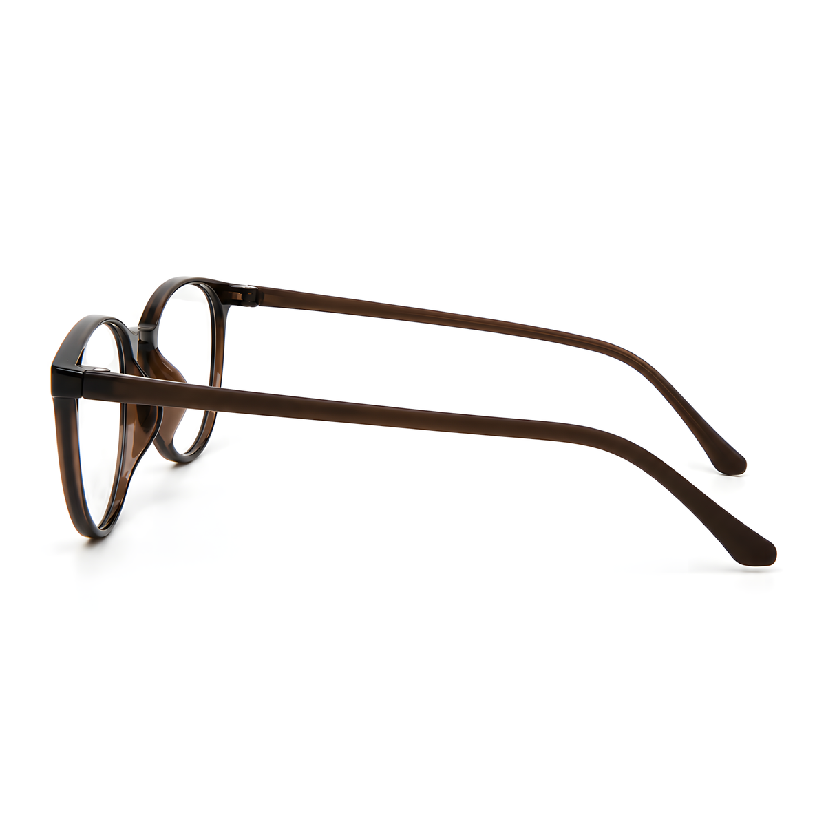 IWAKUNI Clear Brown eyeglasses side view