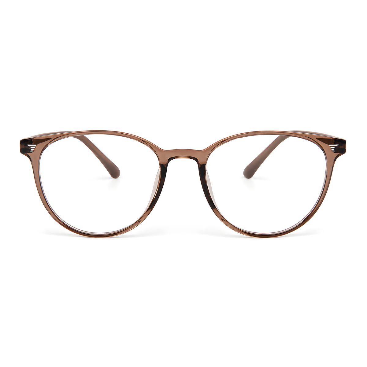 IWAKUNI Dark Tea eyeglasses angle view