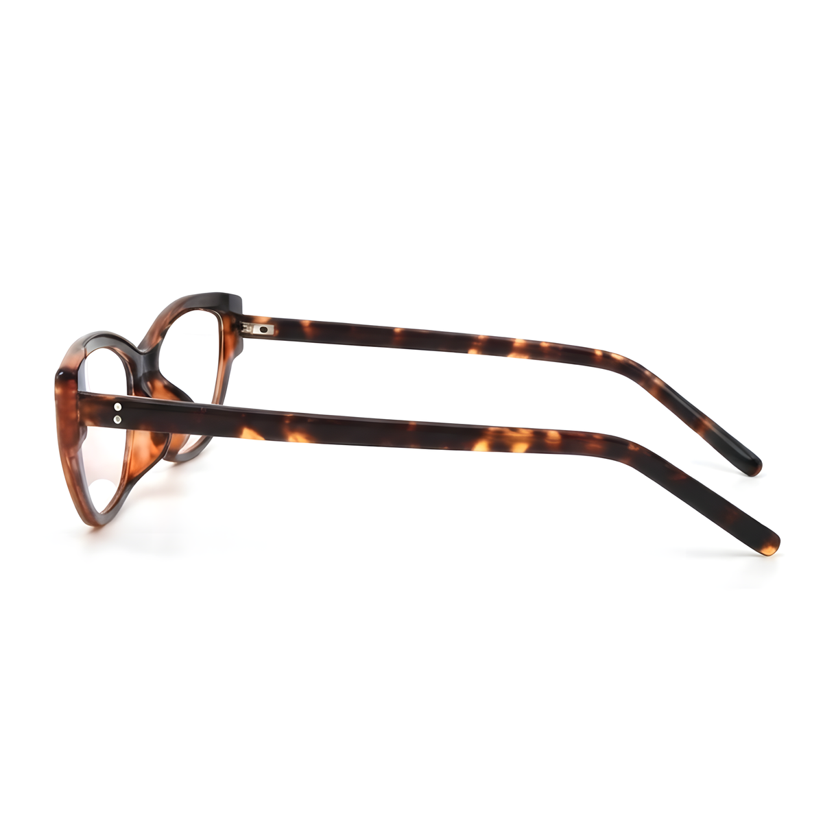 HACHINOHE Tortoise eyeglasses front view
