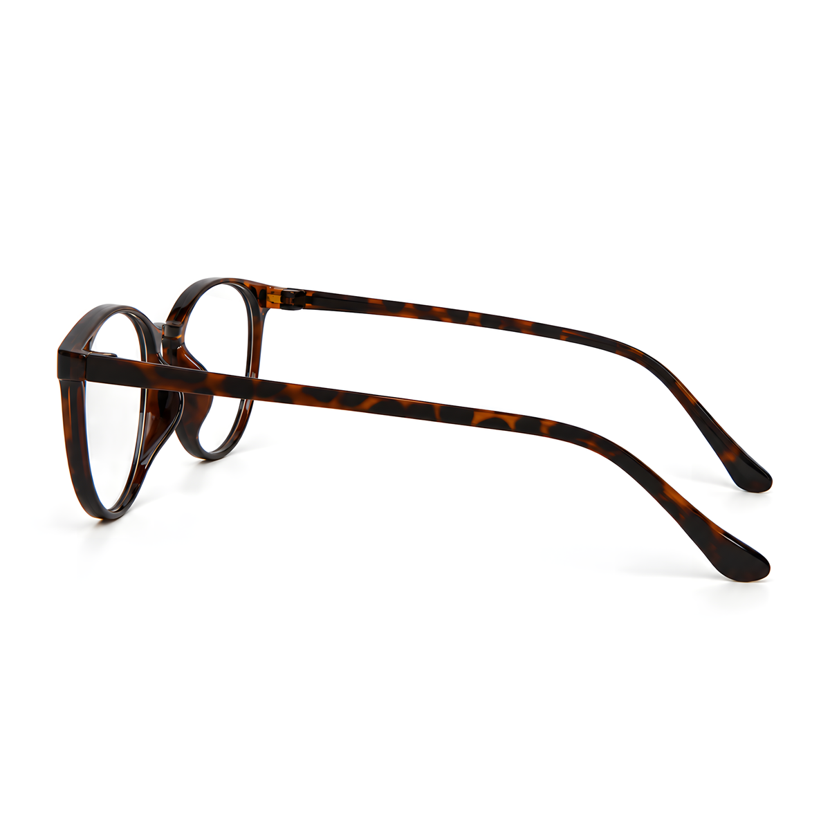 IWAKUNI Tortoise eyeglasses side view