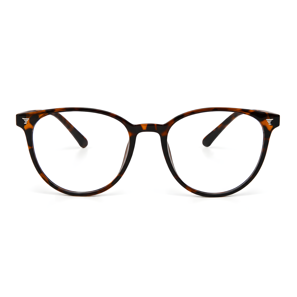 IWAKUNI Tortoise eyeglasses angle view