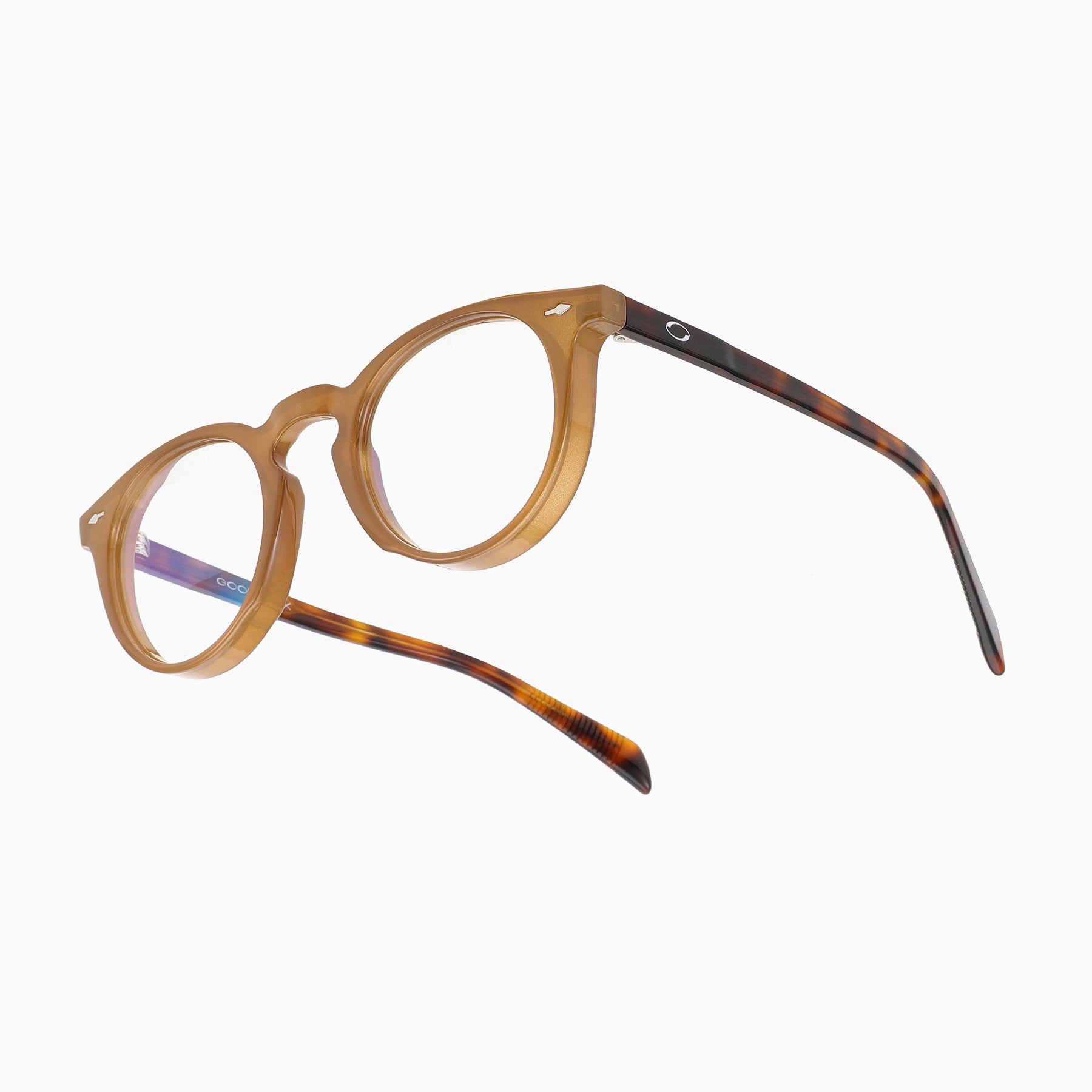 #color_Brown with Rye Tortoise