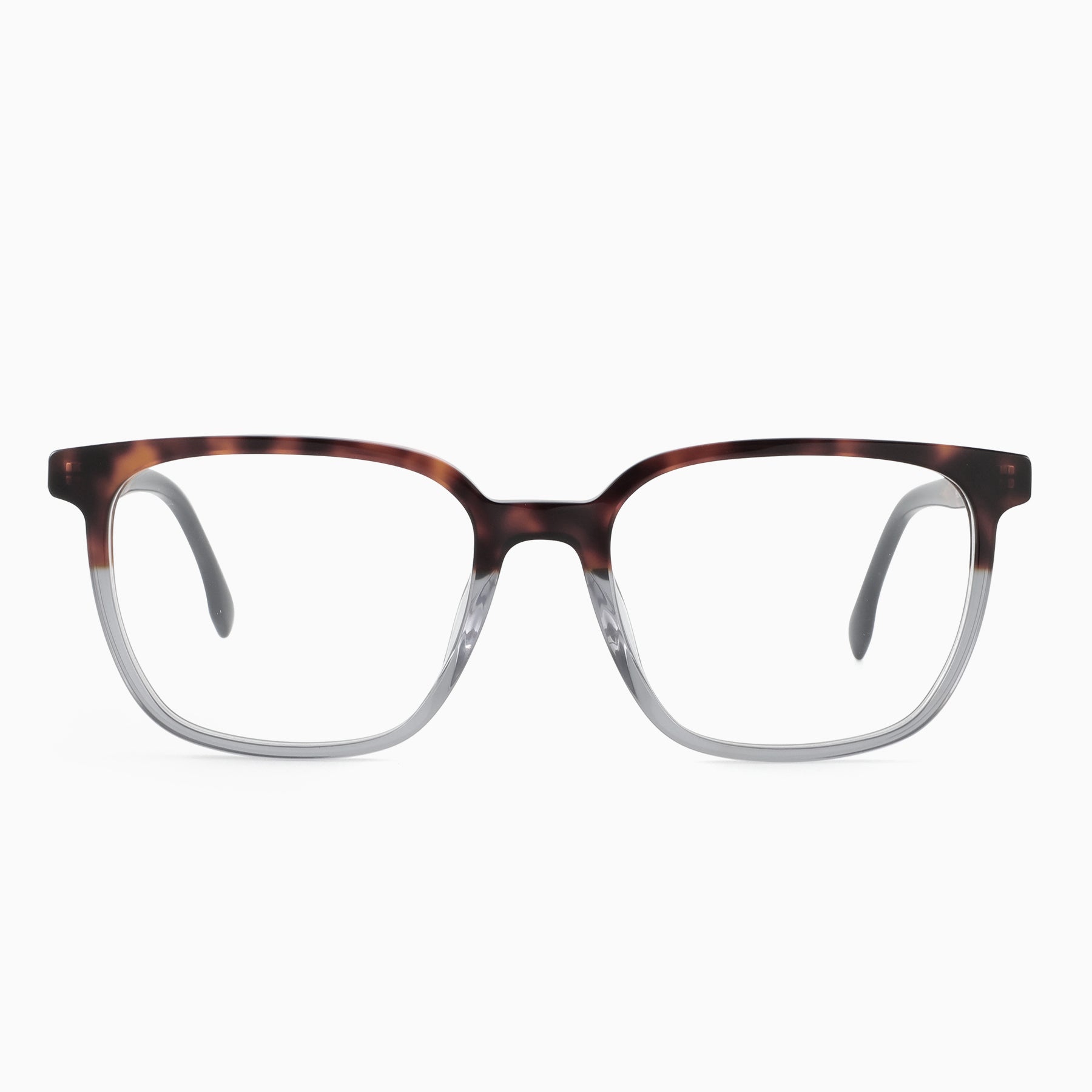 #color_Red Tortoise