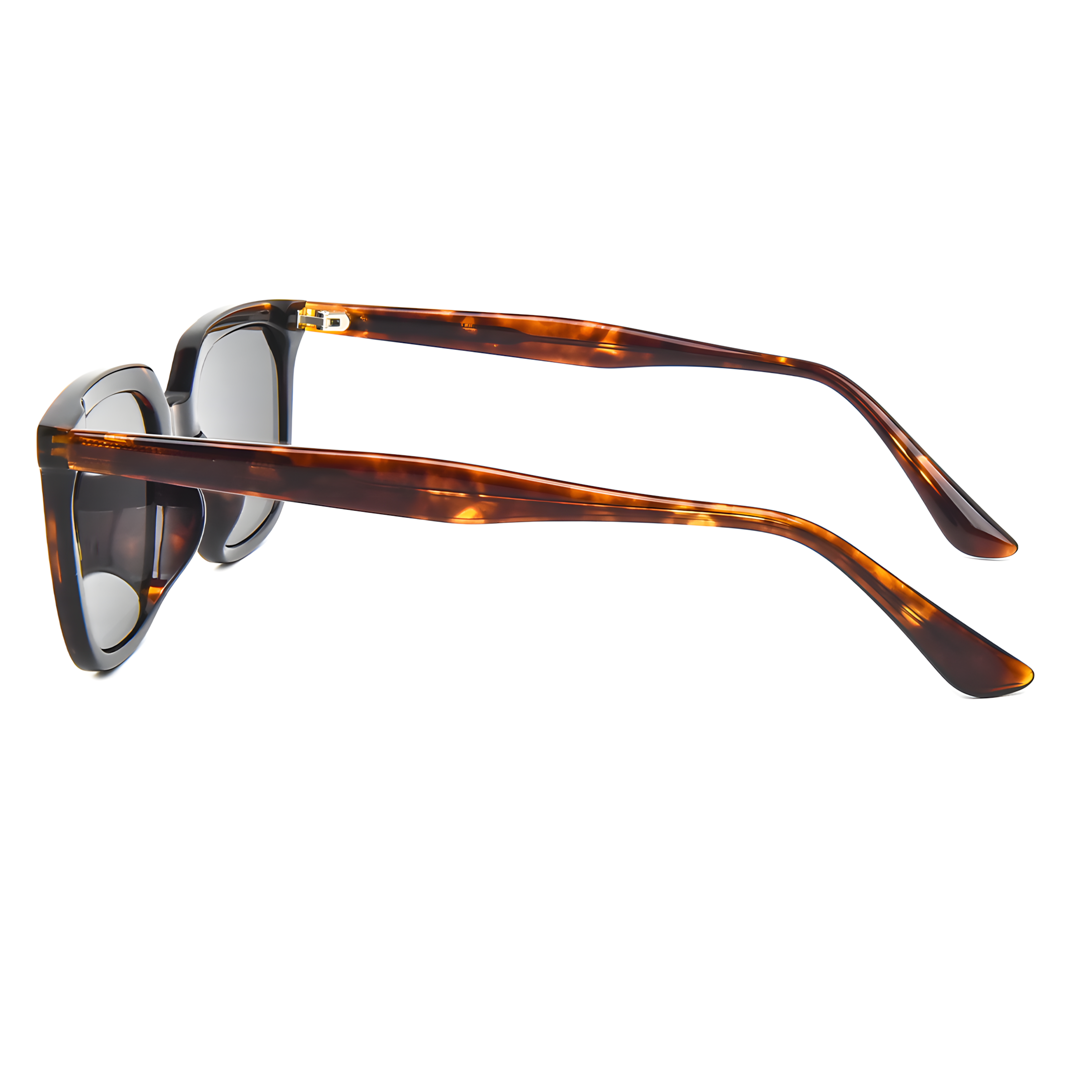 MATERA TORTOISE side