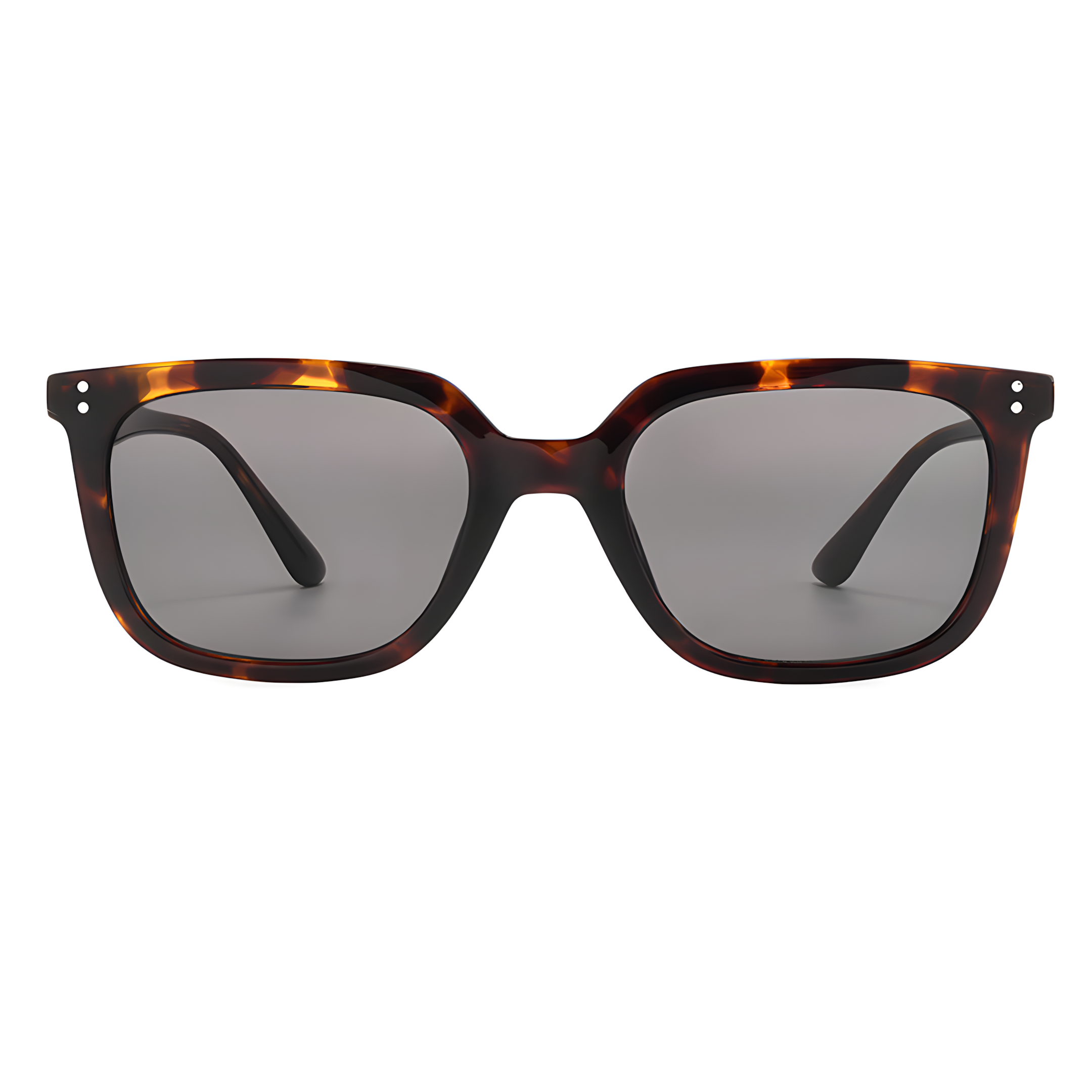 MATERA TORTOISE front