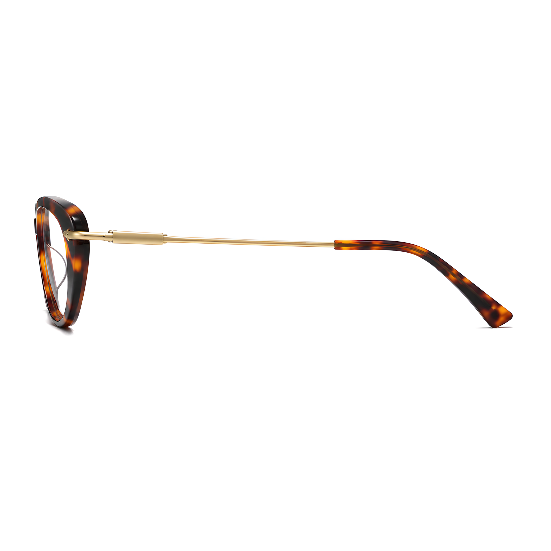 IROHA eyeglasses - F-GG567F-TORTOISE (3)