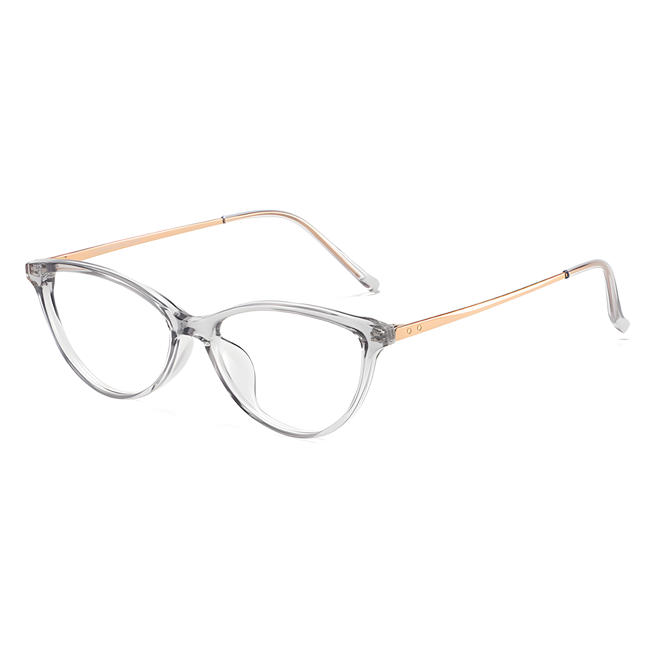 RIN gray (2) eyeglasses