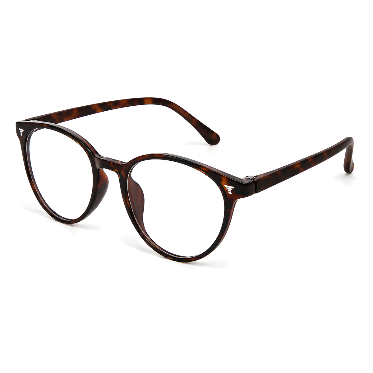 IWAKUNI Tortoise eyeglasses front view